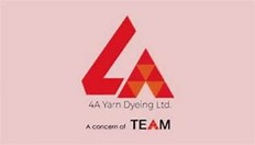 TEAM GROUP